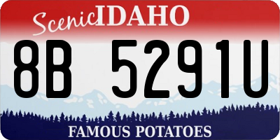 ID license plate 8B5291U