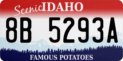 ID license plate 8B5293A