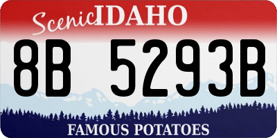 ID license plate 8B5293B