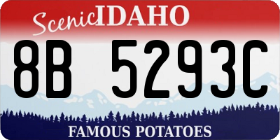 ID license plate 8B5293C