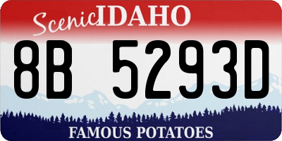 ID license plate 8B5293D