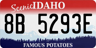 ID license plate 8B5293E