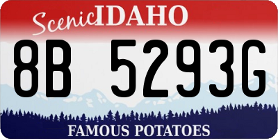 ID license plate 8B5293G