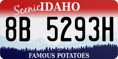 ID license plate 8B5293H