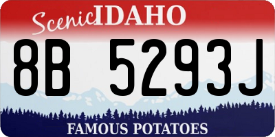 ID license plate 8B5293J
