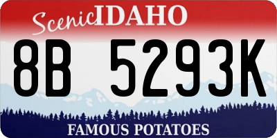 ID license plate 8B5293K
