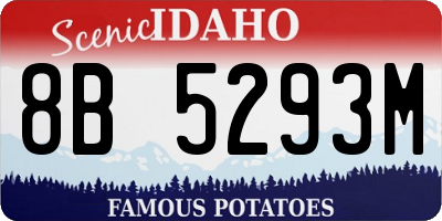 ID license plate 8B5293M
