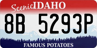 ID license plate 8B5293P