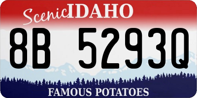 ID license plate 8B5293Q