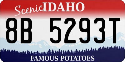 ID license plate 8B5293T