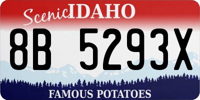 ID license plate 8B5293X