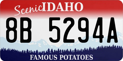 ID license plate 8B5294A