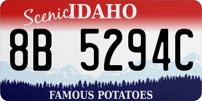 ID license plate 8B5294C