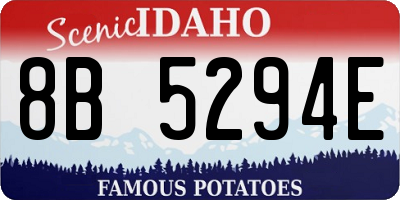 ID license plate 8B5294E