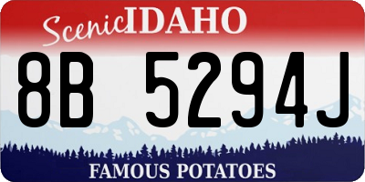 ID license plate 8B5294J