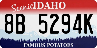 ID license plate 8B5294K