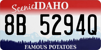 ID license plate 8B5294Q