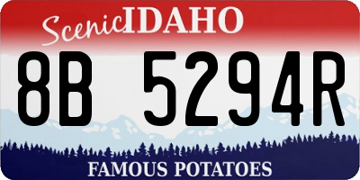 ID license plate 8B5294R