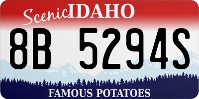 ID license plate 8B5294S