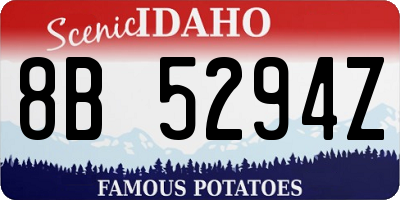ID license plate 8B5294Z
