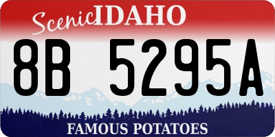 ID license plate 8B5295A