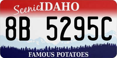 ID license plate 8B5295C
