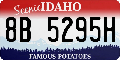 ID license plate 8B5295H