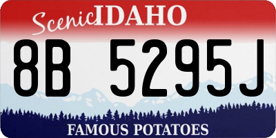 ID license plate 8B5295J