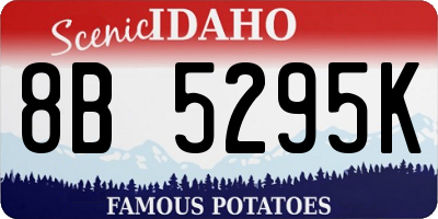 ID license plate 8B5295K