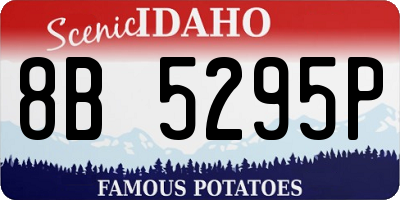 ID license plate 8B5295P