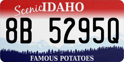 ID license plate 8B5295Q