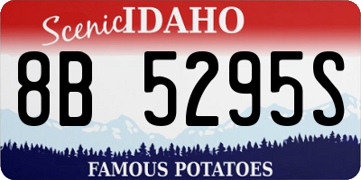 ID license plate 8B5295S