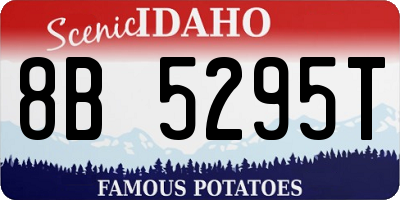 ID license plate 8B5295T