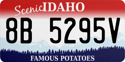 ID license plate 8B5295V