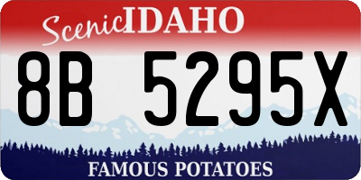 ID license plate 8B5295X