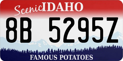 ID license plate 8B5295Z