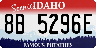 ID license plate 8B5296E