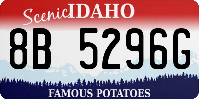 ID license plate 8B5296G