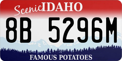 ID license plate 8B5296M