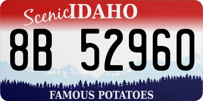 ID license plate 8B5296O