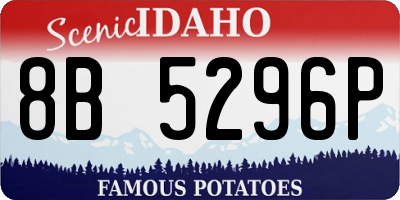 ID license plate 8B5296P