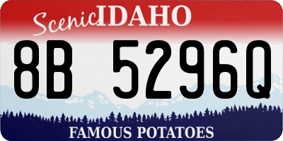 ID license plate 8B5296Q