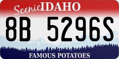 ID license plate 8B5296S