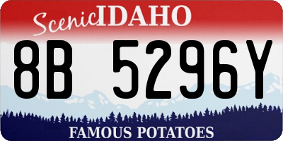 ID license plate 8B5296Y