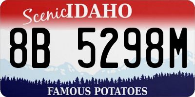 ID license plate 8B5298M