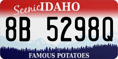 ID license plate 8B5298Q