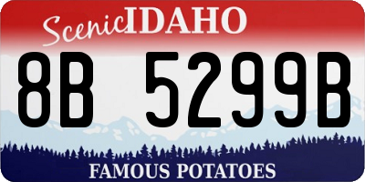 ID license plate 8B5299B
