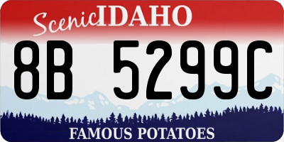ID license plate 8B5299C