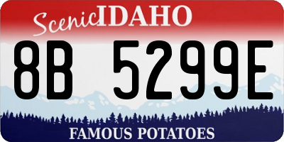 ID license plate 8B5299E