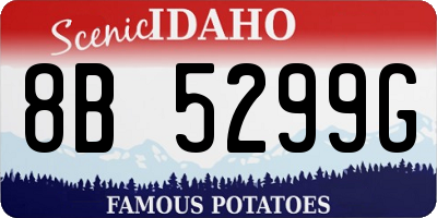 ID license plate 8B5299G